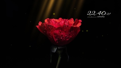 4k唯美荧光玫瑰花