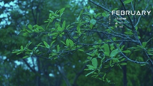 护眼雨季