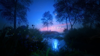 4k 治愈唯美夜晚森林