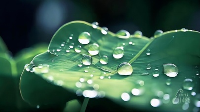 错落明玑走碧盘（清新护眼）