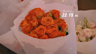 4k高清ins风格系列