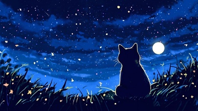 星空下的小黑猫