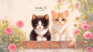 清新玫瑰猫咪