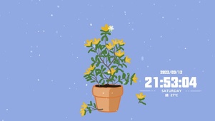 小黄花