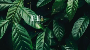 4k高清ins风绿色植物系列