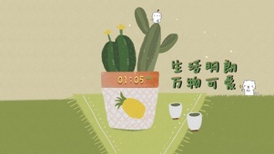 绿植仙人掌生活明朗