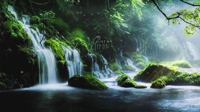 4K唯美治愈绿色护眼森林瀑布