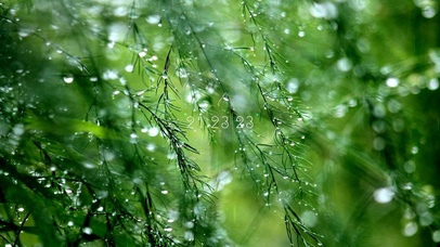 治愈护眼雨滴屏