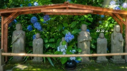 4k 治愈清新夏日绿叶神庙