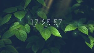 简约系4k清新绿植壁纸