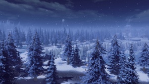 江湖冬雪森林