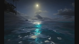 海之夜景