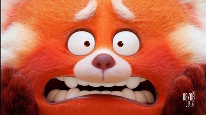 #极简主义 6K【大脸萌】重制