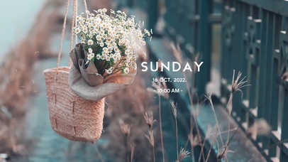 4k高清简约ins风格系列