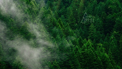 4k高清森林风景系列