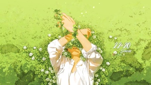 夏の花