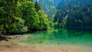 高清护眼绿色风景