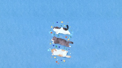 一起玩耍的小猫～可爱～