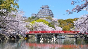 樱花古城