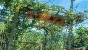 4k 夏日绿叶清新公社花园