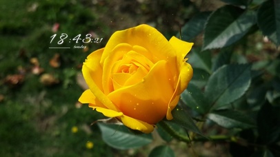 4k高清简约清新系列