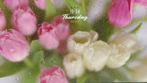 雨滴屏幕上的花朵