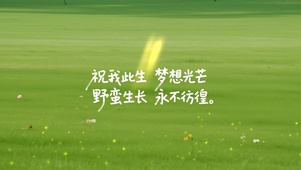祝此生梦想光芒野蛮生长永不彷徨
