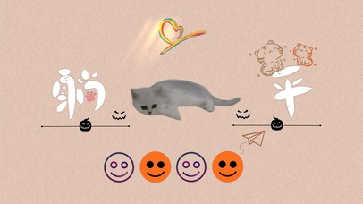 躺平摆烂小猫咪