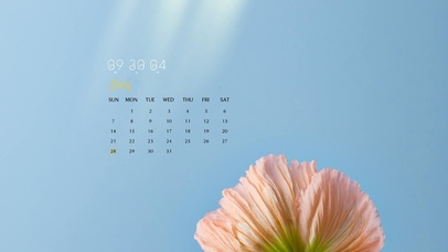 4k极简阳光清新桌面