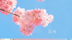 清新护眼花朵—【主题桌面】