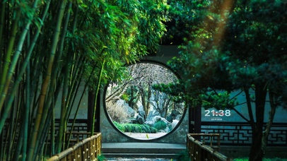 4k 治愈护眼绿叶园林