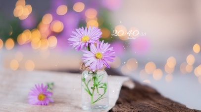 4k高清简约系列