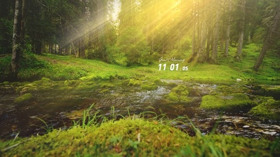 4K唯美治愈护眼森林小溪