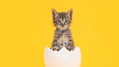 亚瑟点心-破壳而出