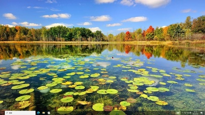 清新湖面—主题桌面