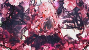 Zero Two -桜