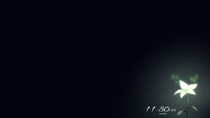 唯美流星荧花