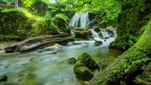 山间清泉