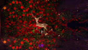 幻梦