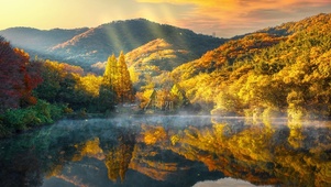 治愈日落秋季山林