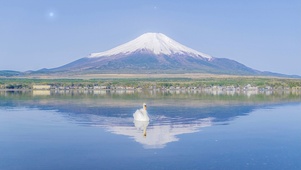 富士山下