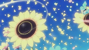 蝶漫繁花