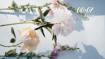 阳光清新绿植花草