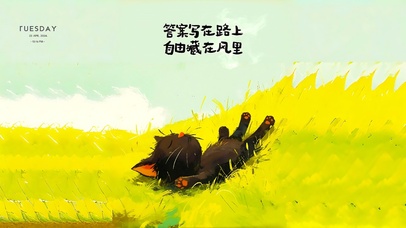 爱睡觉的猫