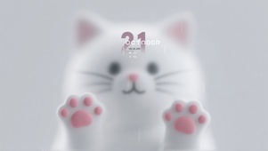 极致梦幻~玻璃窗内的小白喵~~