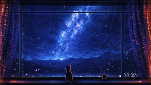 遥望银河的猫