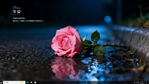 雨中玫瑰
