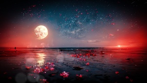 4k 海与月夜