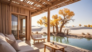 沙漠绿洲小屋