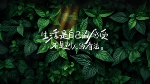 生活是自己的感受不是别人的看法